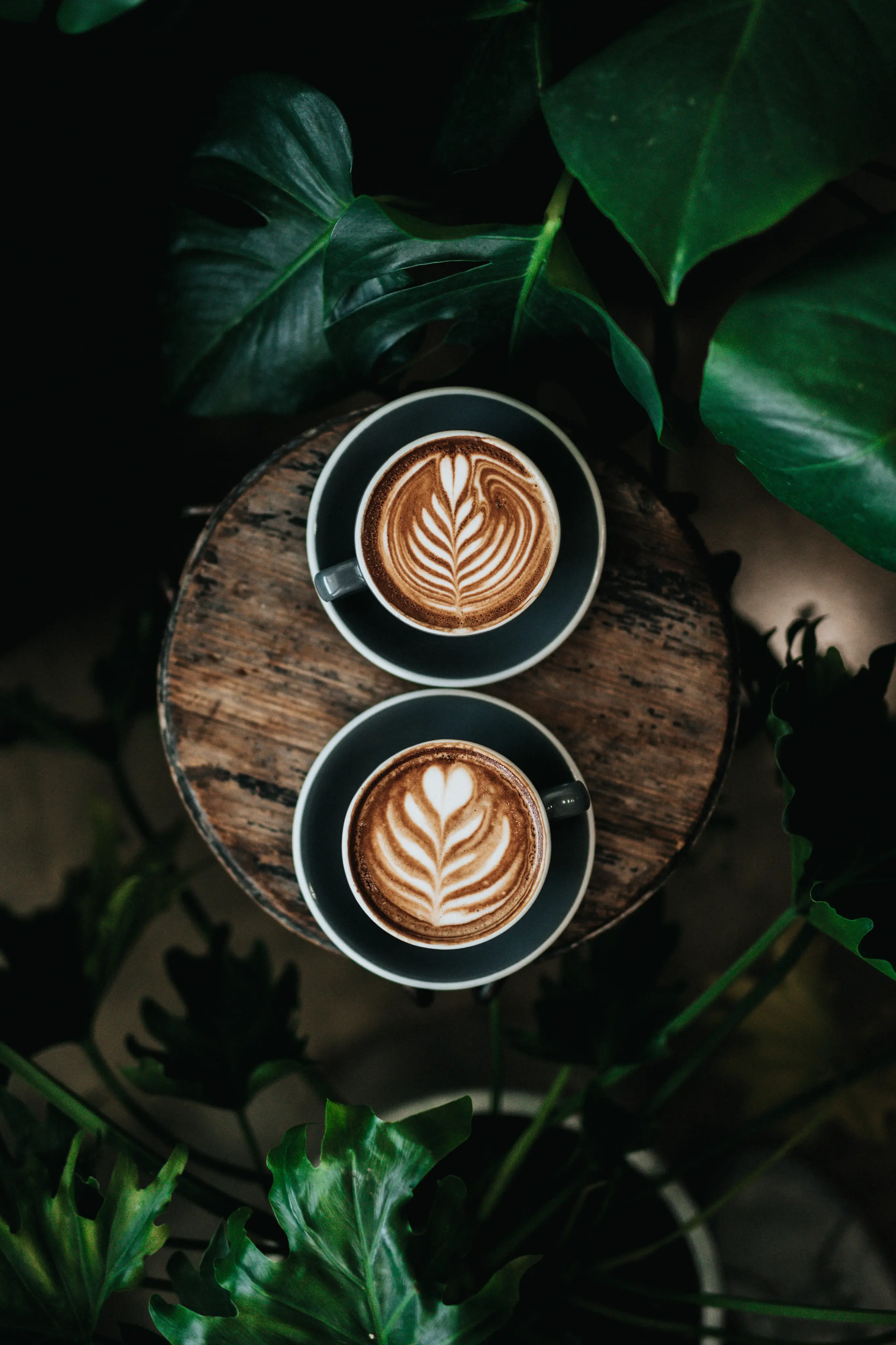 Cap of Coffee